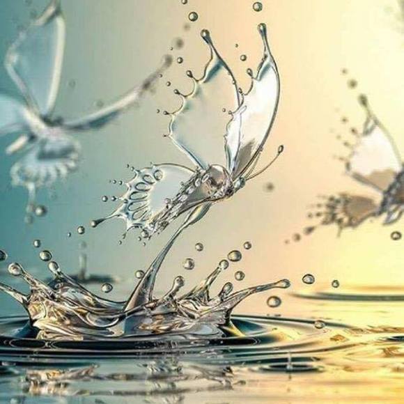 Meet your Posher, Deborah - Picture 1 of 1